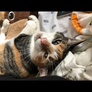 Meet your Posher, Maya